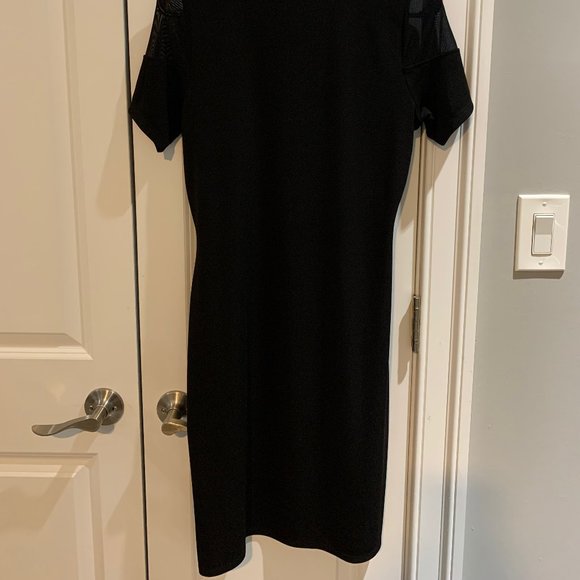 Chic Tahari Dress with Sheer Sleeves - Picture 3 of 3